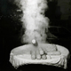 Illustration for article titled Rosalind Solomon - bravery through photography